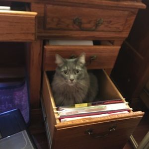 Meet your Posher, Julia